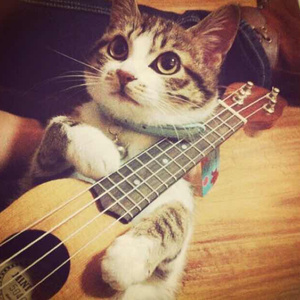 国产男男GayFuCK激情酒店
